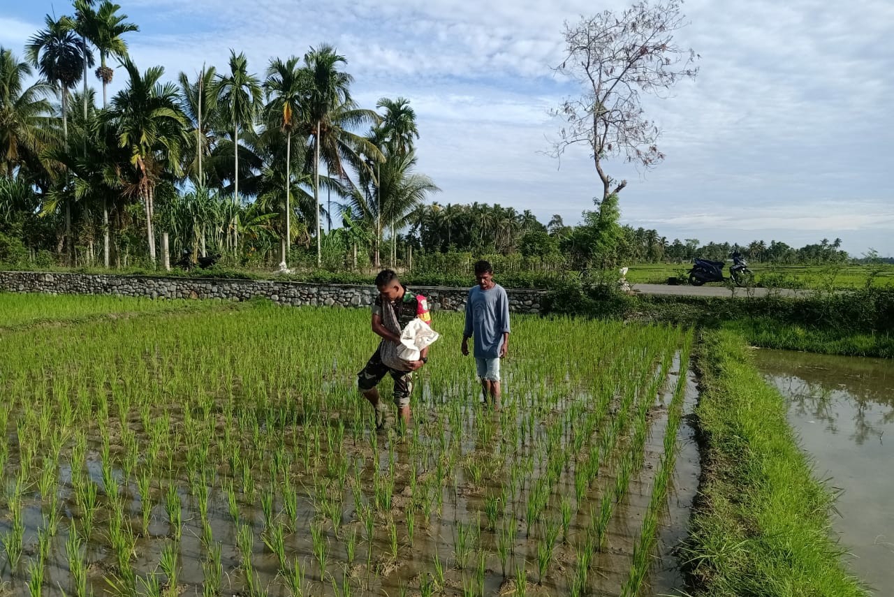Foto Istimewa            